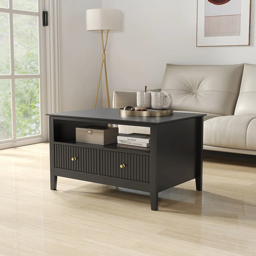 Two drawer coffee table - two,